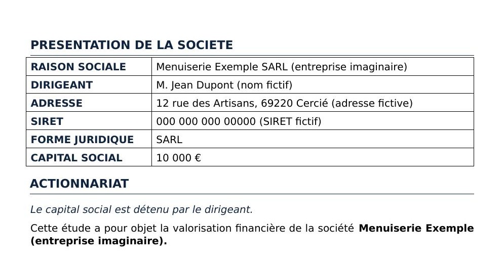 Extrait d’un rapport de valorisation VOVALO : page de présentation de l’entreprise (exemple fictif)